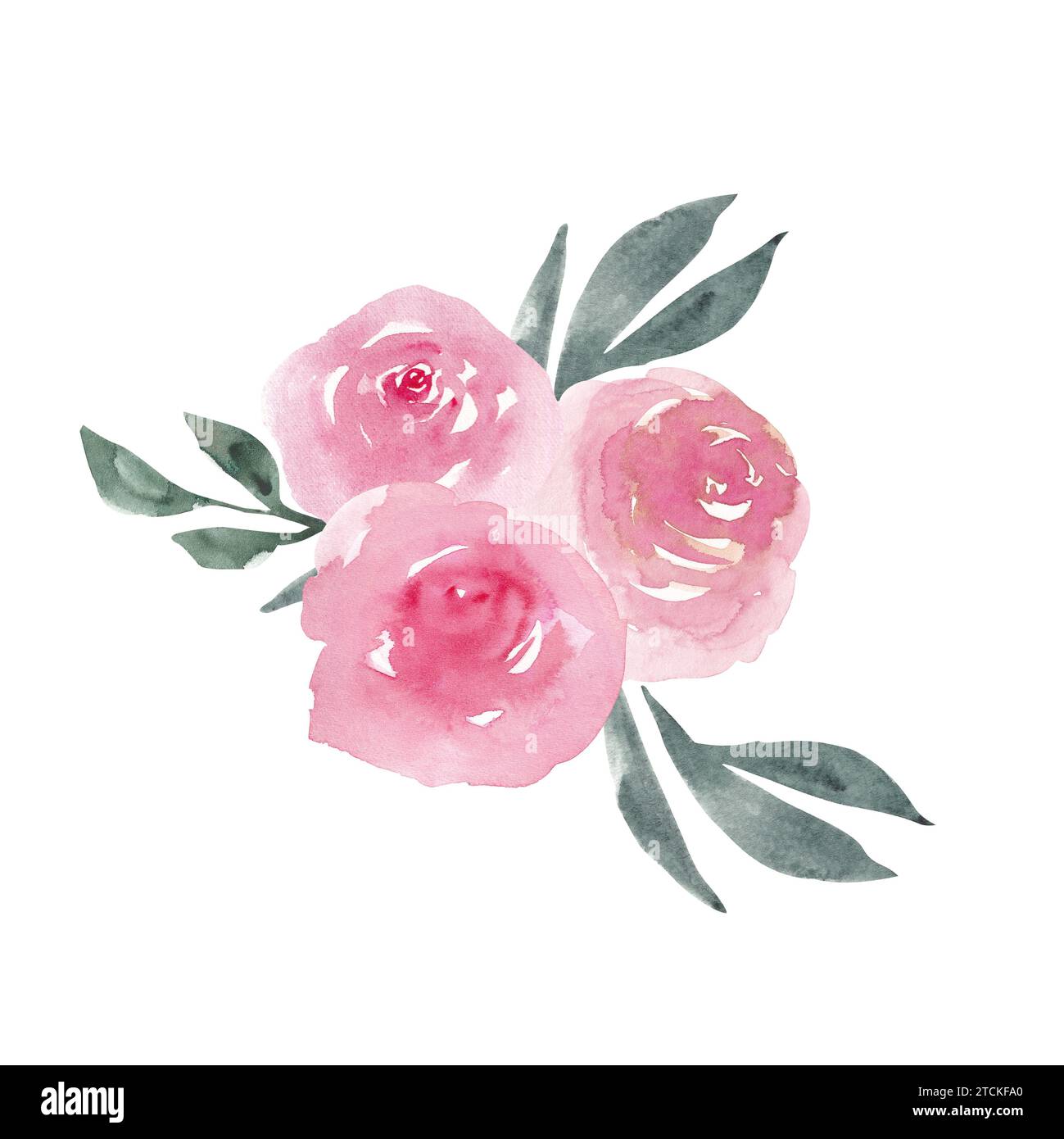 Roses pivoines roses poussiéreuses avec arrangement de bouquet de feuilles vertes isolé sur fond blanc. Élégant clipart à motif floral aquarelle peint à la main Banque D'Images