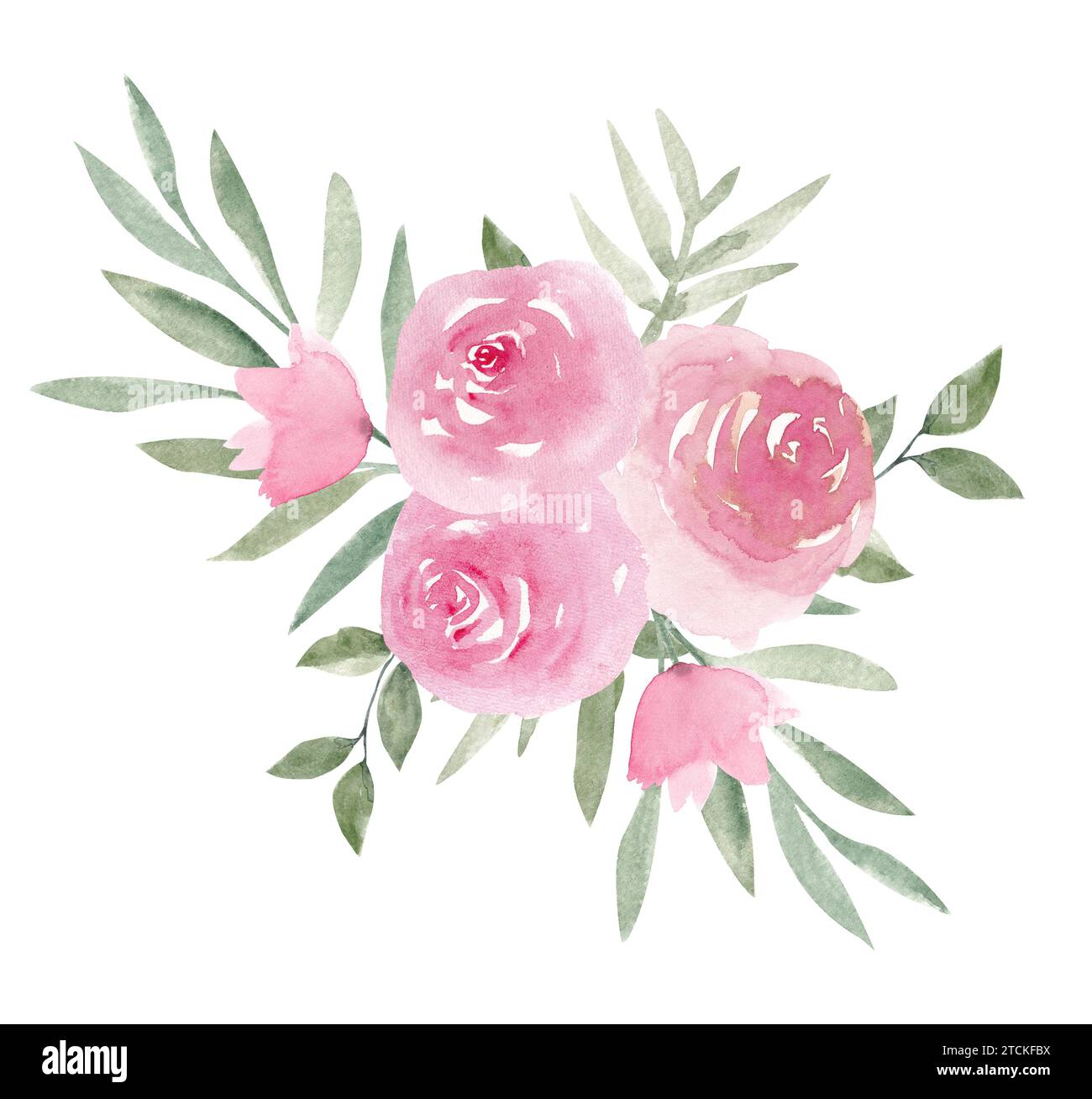Roses pivoines roses poussiéreuses avec arrangement de bouquet de feuilles vertes isolé sur fond blanc. Élégant clipart de design floral aquarelle peint à la main pour g Banque D'Images