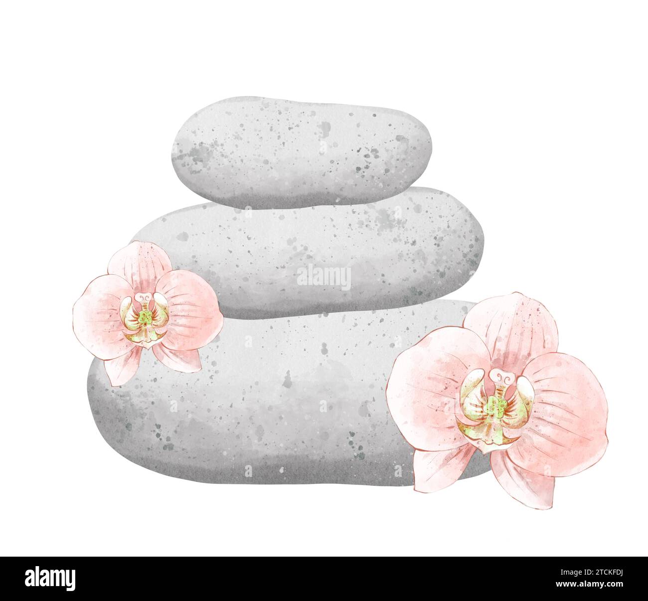 Aromathérapie, composition avec des fleurs d'orchidée et des pierres pour le massage. Concept mode de vie sain, soins de la peau, soins spa. L'illustration dessinée à la main est Banque D'Images
