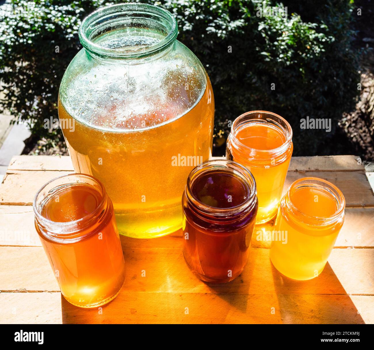 vue ci-dessus de différents types de miel dans divers pots en verre sur la table dans la cour arrière éclairée par le soleil Banque D'Images