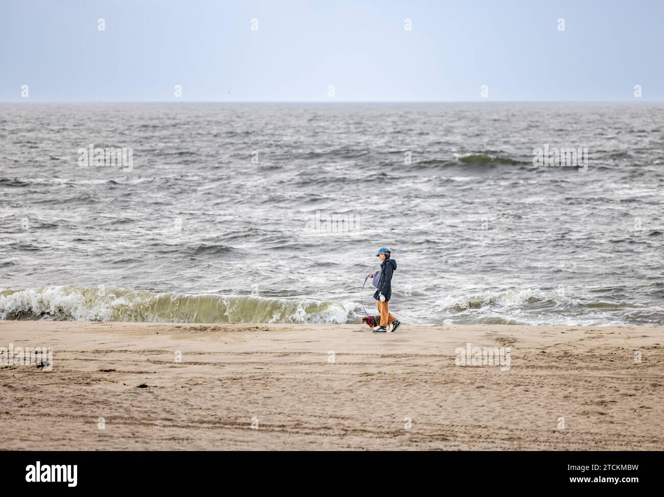 une femme promenant son chien par une journée fraîche couverte sur une plage de hampton est Banque D'Images