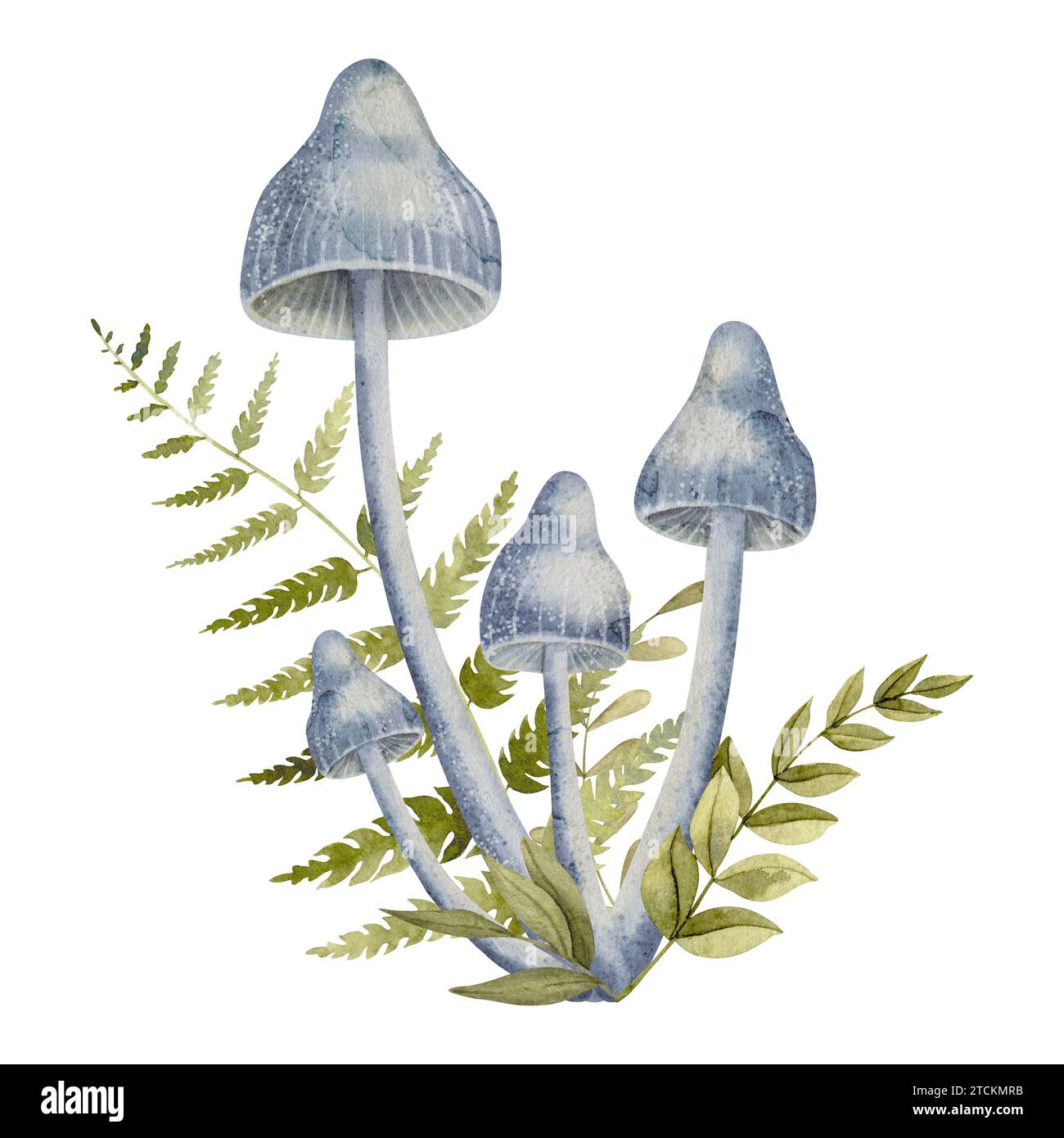 Toadstools avec feuilles illustration botanique aquarelle. Champignons toxiques bleus sur un fond isolé. Clipart dessiné à la main de plantes forestières magiques. Dessin de champignon et empreinte de fougère. Banque D'Images