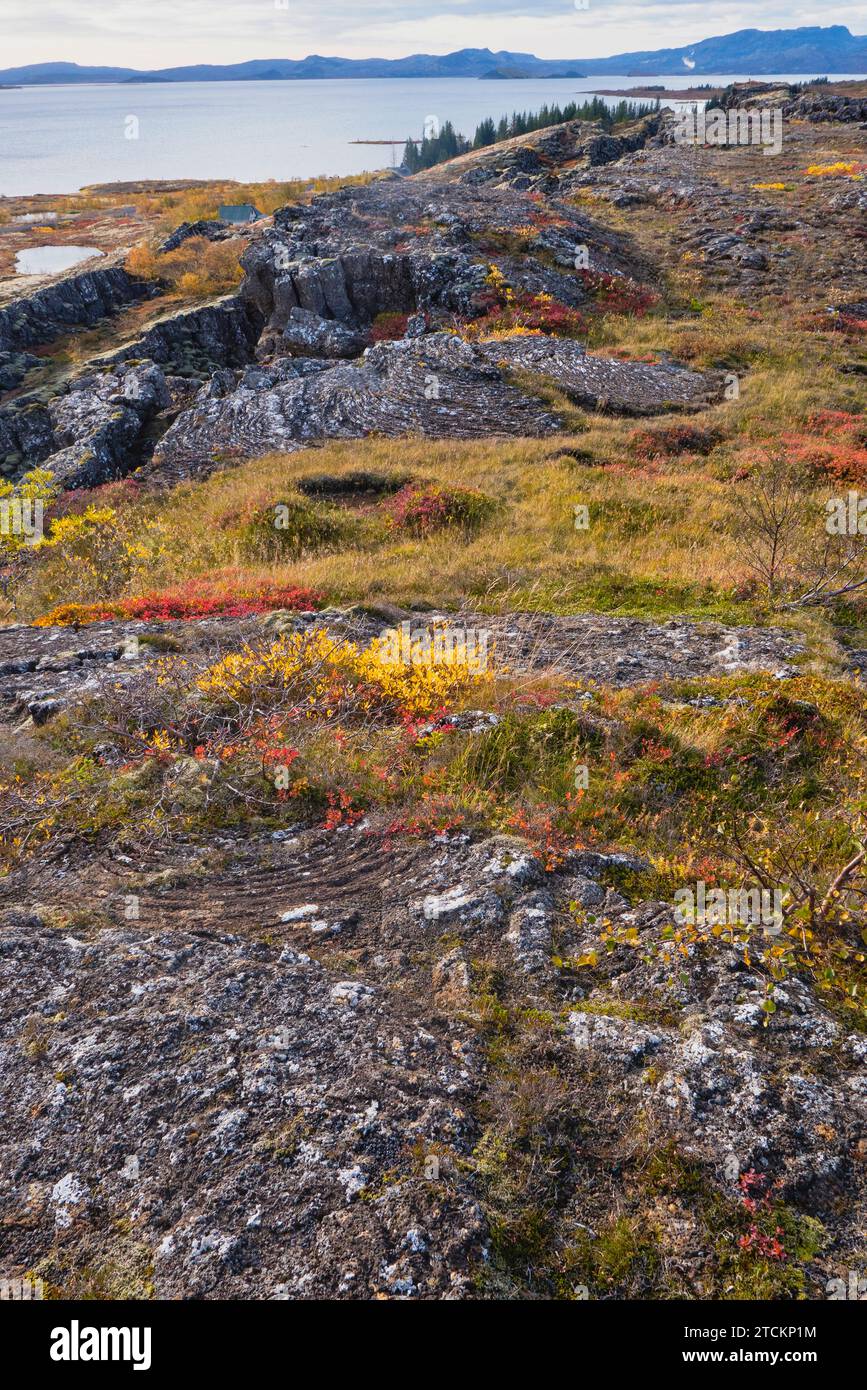 Islande, cercle d'Or, Parc National de Thingvellir aux couleurs de l'automne. Le Rift médio-atlantique entre les plaques tectoniques nord-américaines et eurasiennes. Lac Thingvallavtr, le plus grand lac d'Islande situé sur la crête de Reykjares. Fissures au premier plan. Banque D'Images