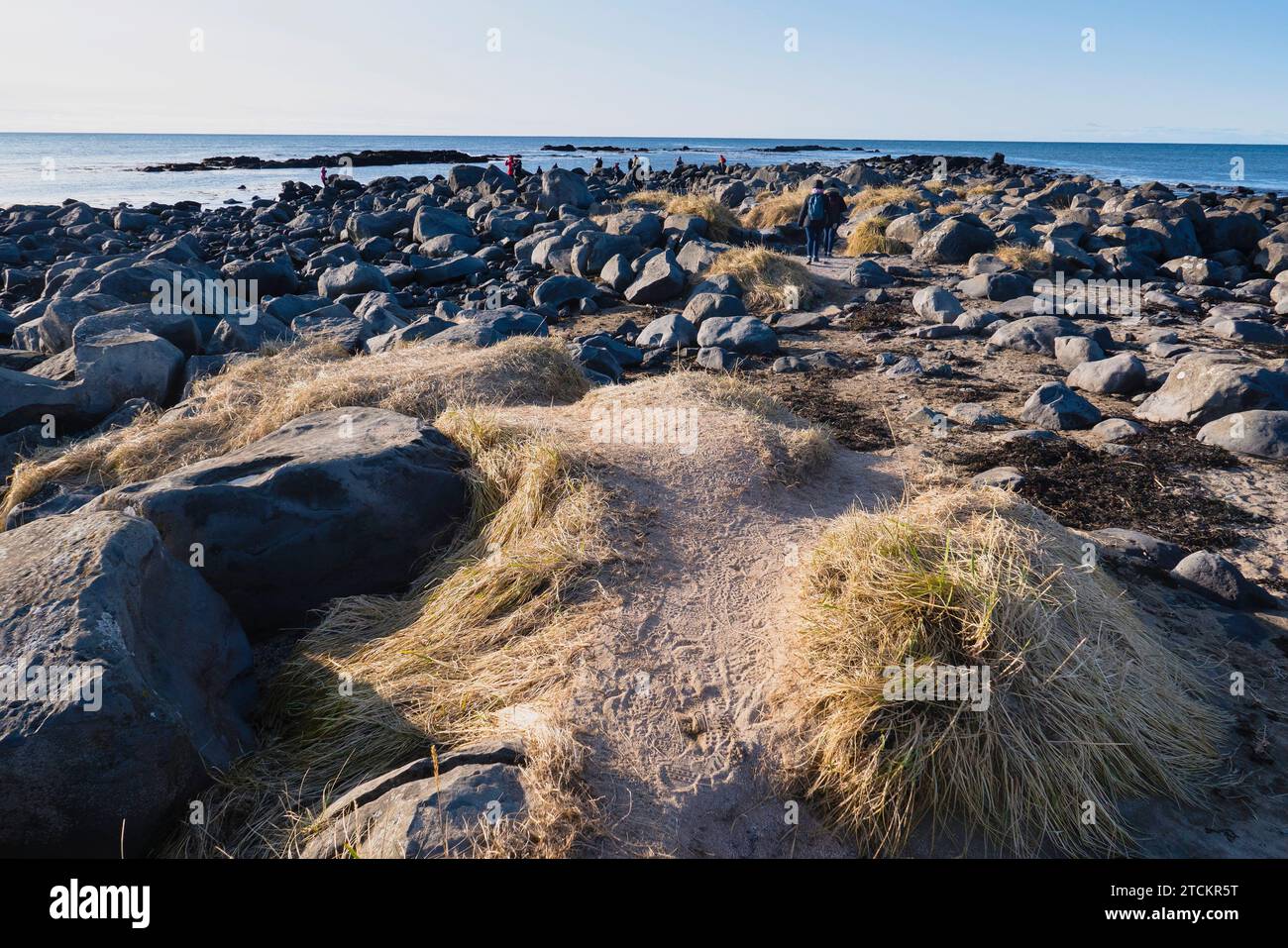 Islande, parc national de la péninsule de Snæfellsnes, plage de phoques d'Ytri Tunga avec des touristes touristiques. Banque D'Images