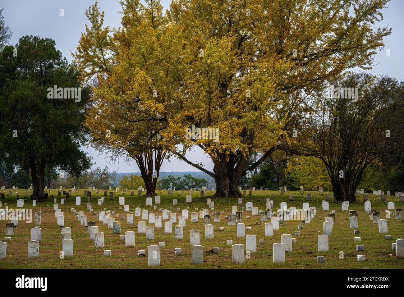Une photo de pierres tombales dans un cimetière réservé aux vétérans de la guerre de Sécession de l'armée de l'Union à Vicksburg Mississippi Banque D'Images