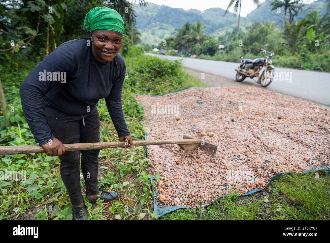 Fermier souriant travaille dans les champs tout en séchant les fèves de cacao pour faire du chocolat Banque D'Images