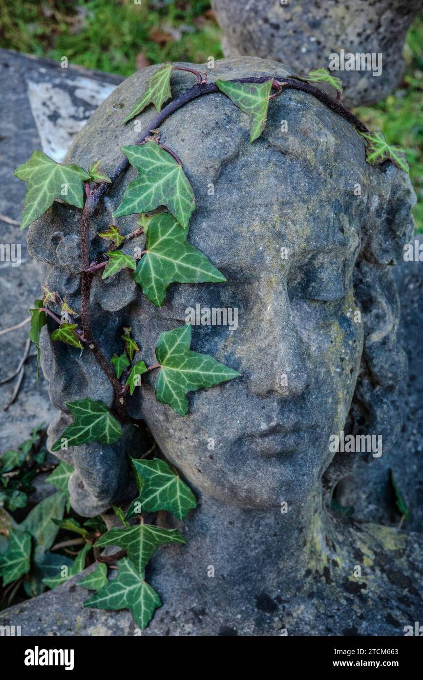 Une vieille statue de grès sur un cimetière couvert de lierre. Une couronne de cheveux de lierre sur la tête d'une sculpture en grès. Hiver. Cimetière. Banque D'Images