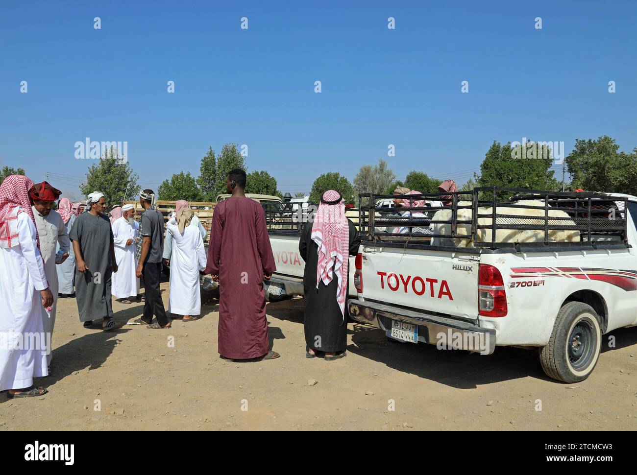 Commerce de moutons en Arabie Saoudite Banque D'Images