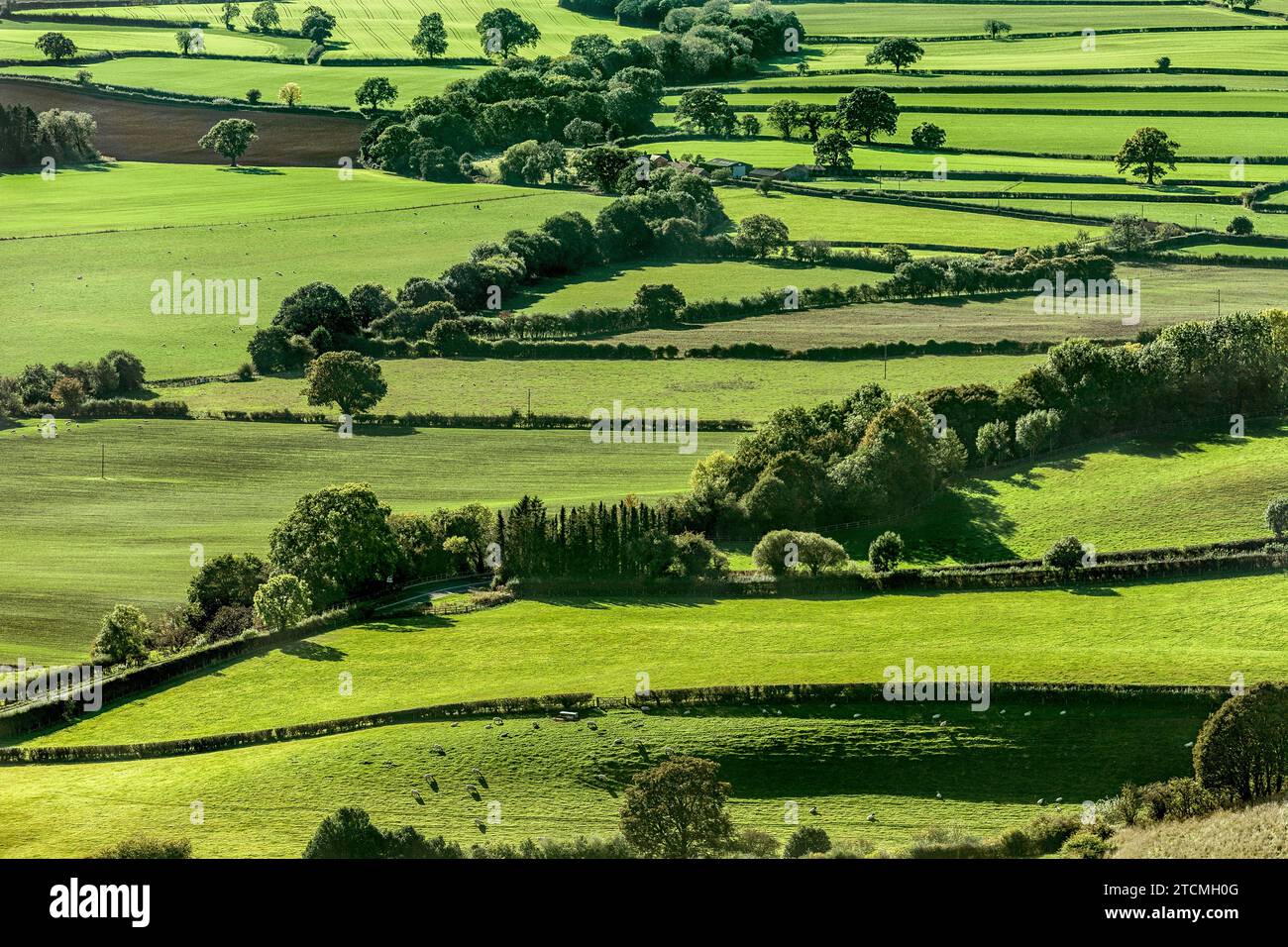 Vue spectaculaire sur les champs de Sutton Bank, North York Moors National Park, North Yorkshire, Angleterre Banque D'Images
