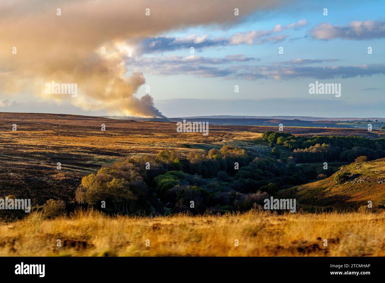 Fumée de Burning Field, Goathland, North York Moors, North Yorkshire, Royaume-Uni Banque D'Images