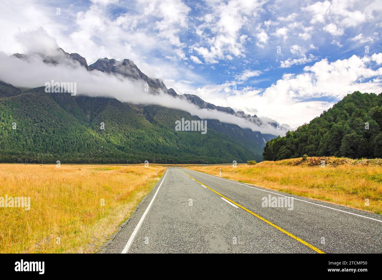 Route de Milford Sound, Fiordland National Park, région de Southland, île du Sud, Nouvelle-Zélande Banque D'Images