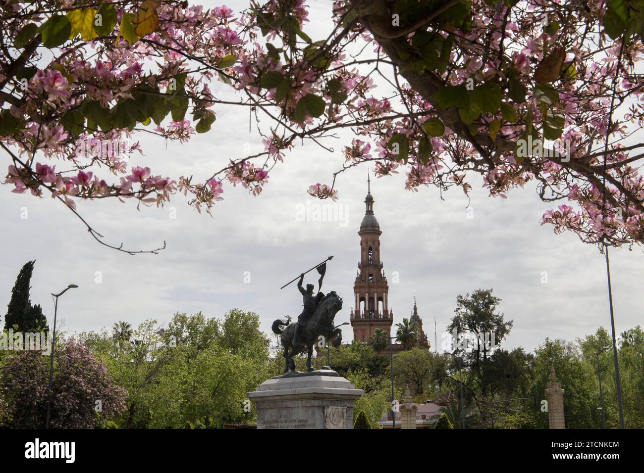 Séville, 03/24/2020. Alerte Coronavius. Ressort. Fleurs dans la ville. Dans l'image, le monument à CID Campeador sur Avenida del CID. Photo : Rocío Ruz ARCHSEV. Crédit : Album / Archivo ABC / Rocío Ruz Banque D'Images