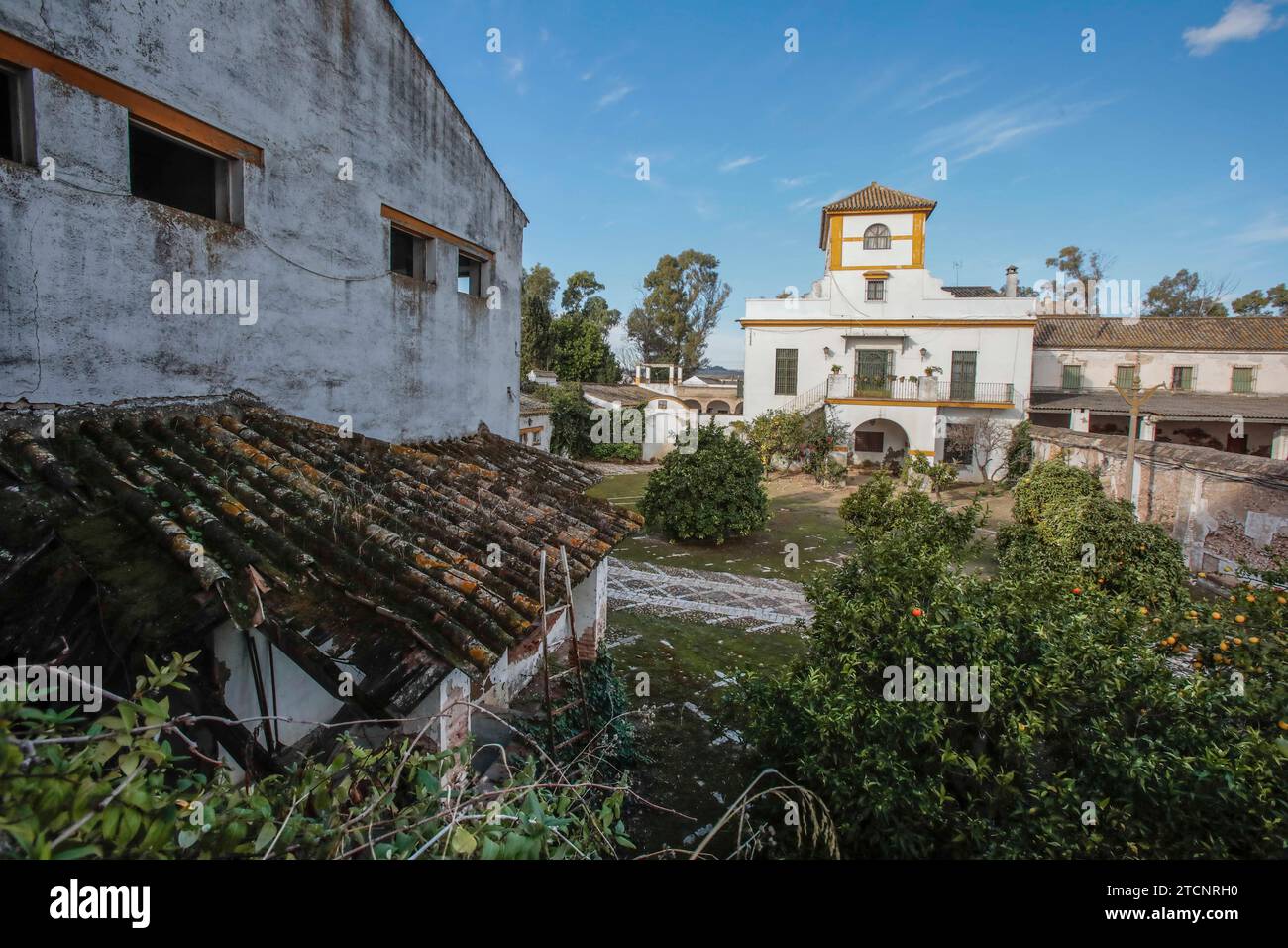 Camas (Séville), 12/04/2019. Rapport sur l'état de la ferme Gambogaz. Photo : Raúl Doblado. ARCHSEV. Crédit : Album / Archivo ABC / Raúl Doblado Banque D'Images Camas (Séville), 12/04/2019. Rapport sur l'état de la ferme Gambogaz. Photo : Raúl Doblado. ARCHSEV. Crédit : Album / Archivo ABC / Raúl Doblado Banque D'Images
