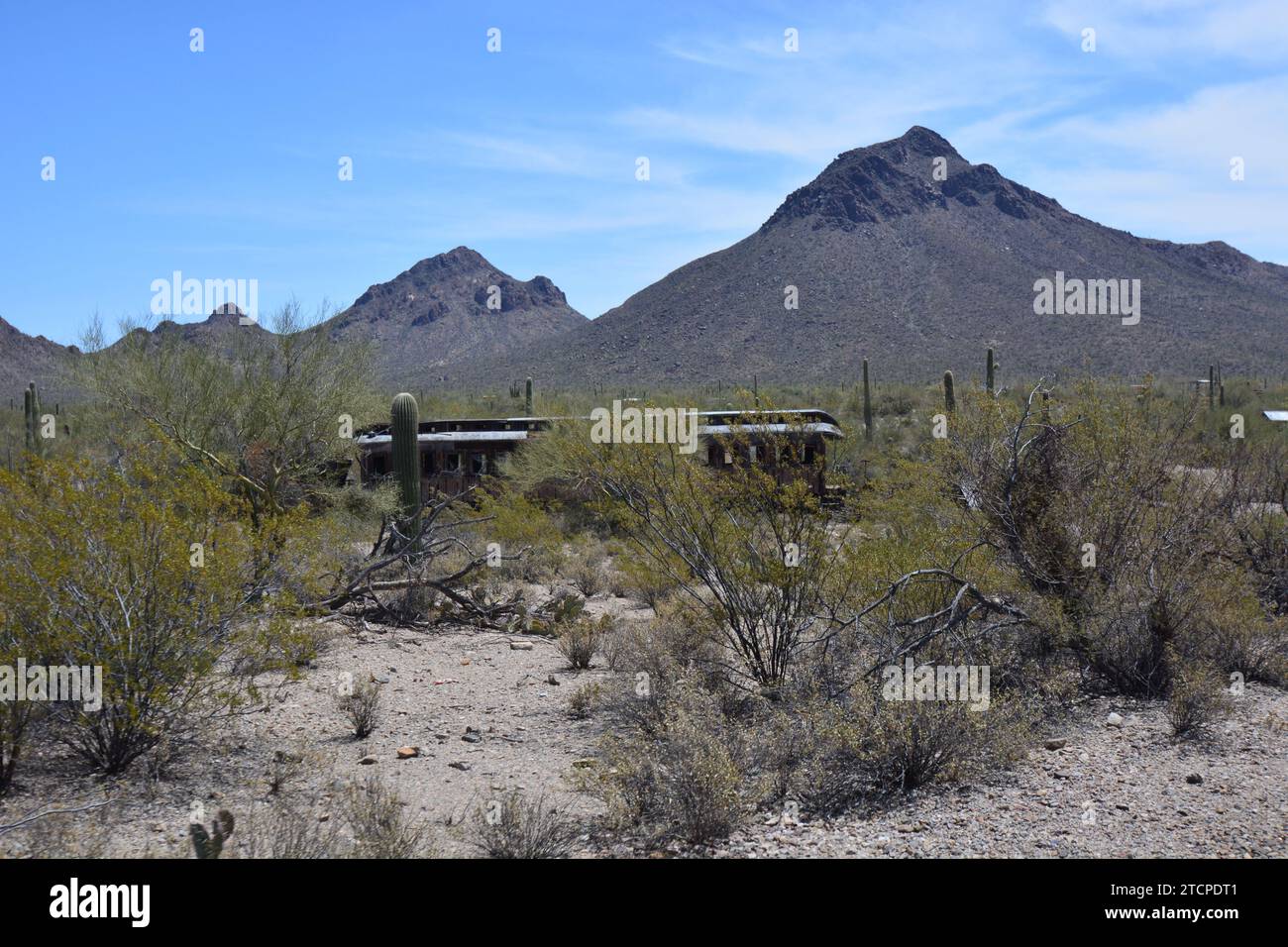 Une vieille voiture de train dans le désert près de Tuscon Arizona USA Banque D'Images