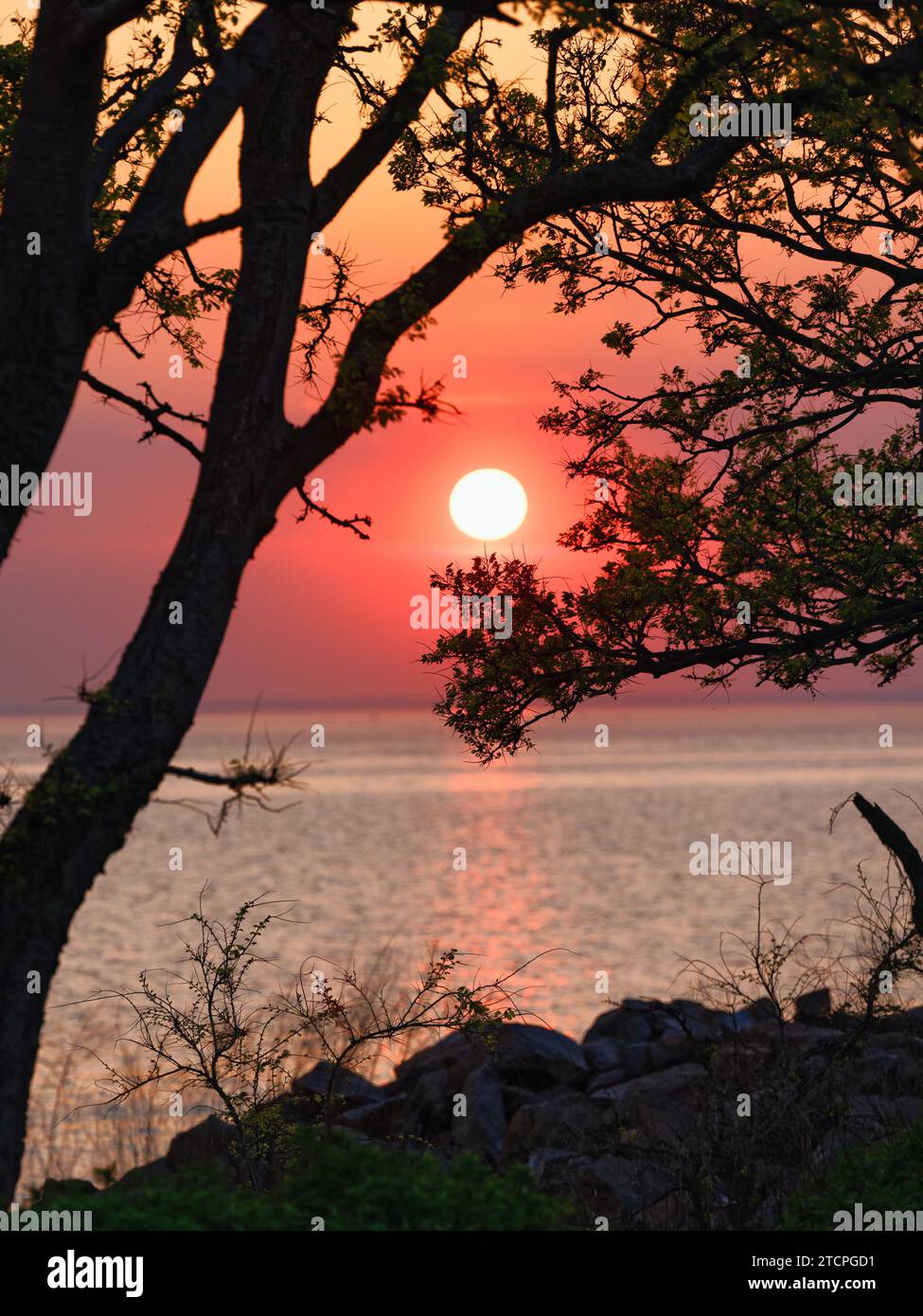 Coucher de soleil sur Lower New York Bay, Sandy Hook, New Jersey, États-Unis Banque D'Images