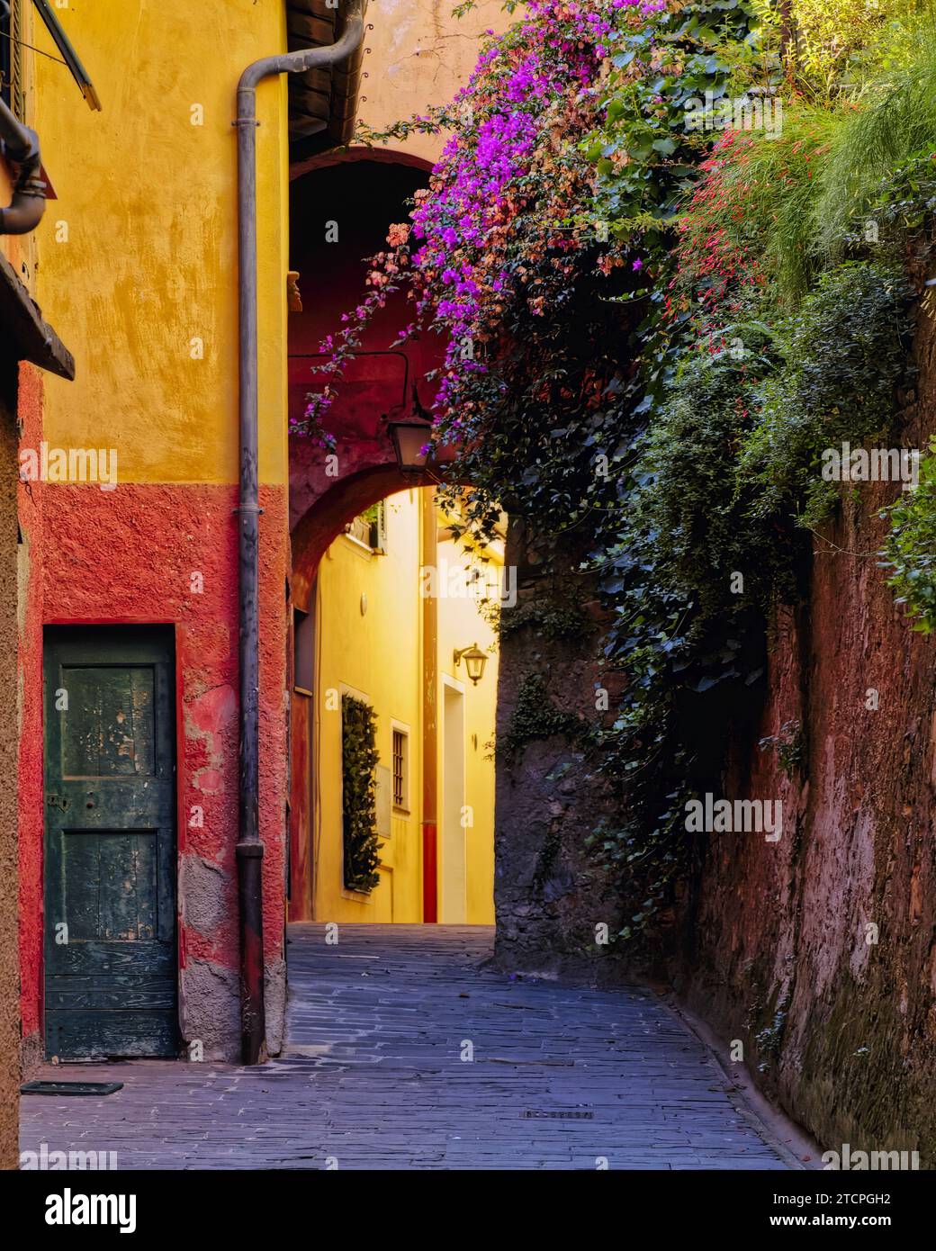 Allée colorée avec fleurs de Bougainvillea, Portofino, Ligurie, Italie Banque D'Images