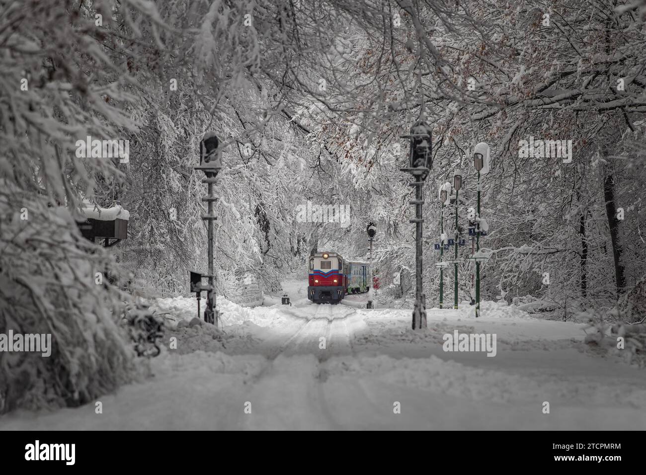 Budapest, Hongrie - Belle scène de forêt d'hiver avec forêt enneigée et vieux train coloré pour enfants sur la piste dans les collines de Buda près de Csilleberc Banque D'Images