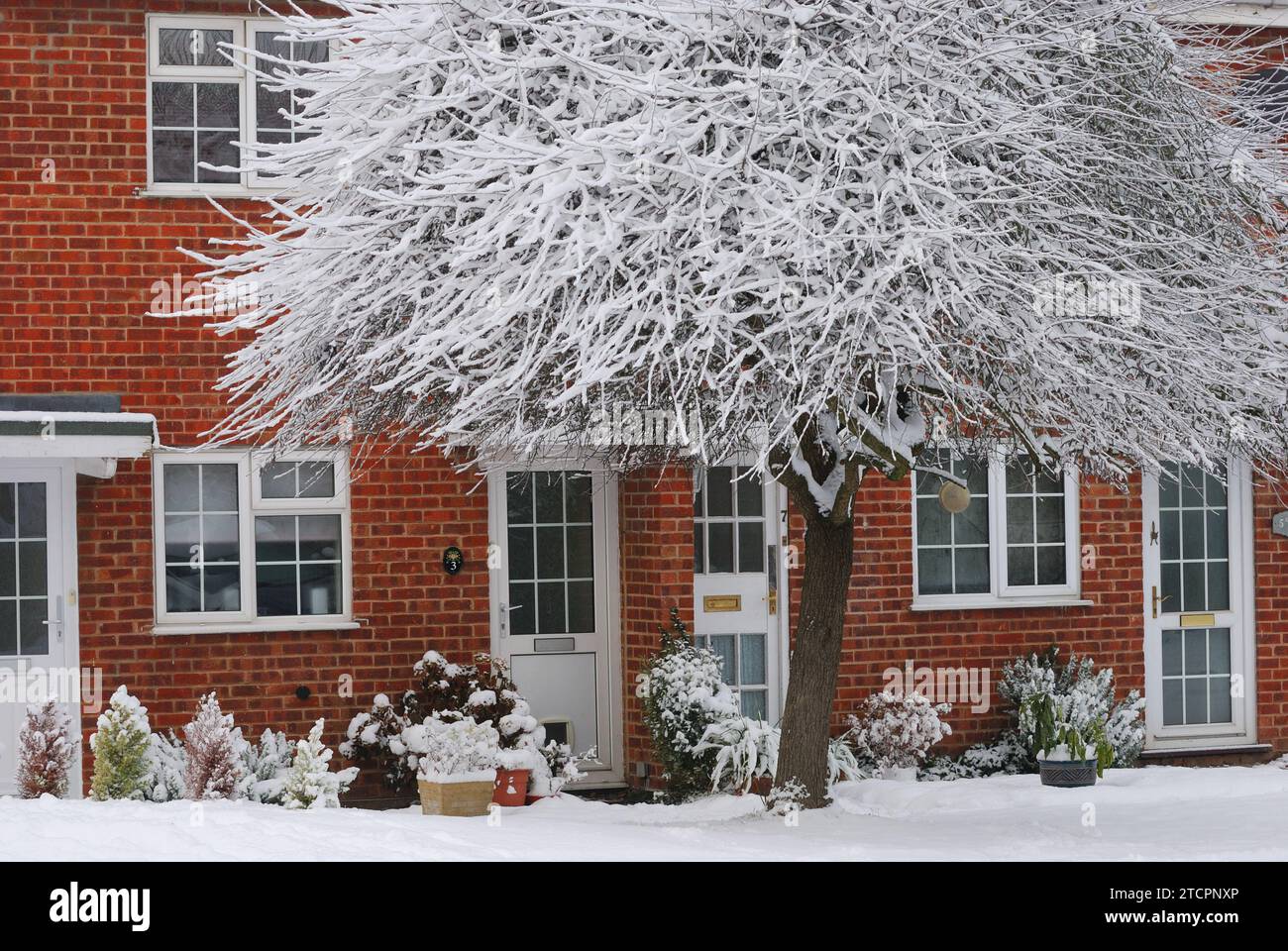 Entrée principale d'une maison en brique en hiver en Angleterre Banque D'Images