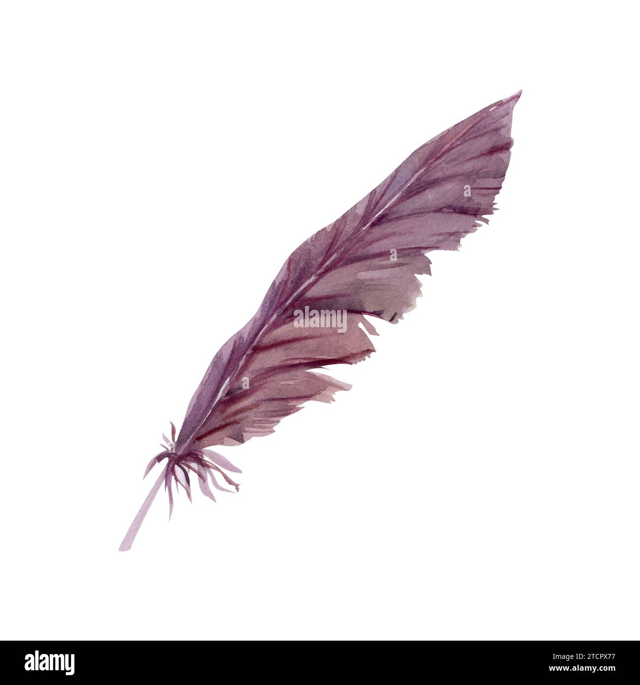 Aquarelle d'oiseau plume plume plume plume Quill Boho tribal ethnique mauve indienne dessinée à la main. Objet unique isolé sur fond blanc. Design pour charme, amulette Banque D'Images