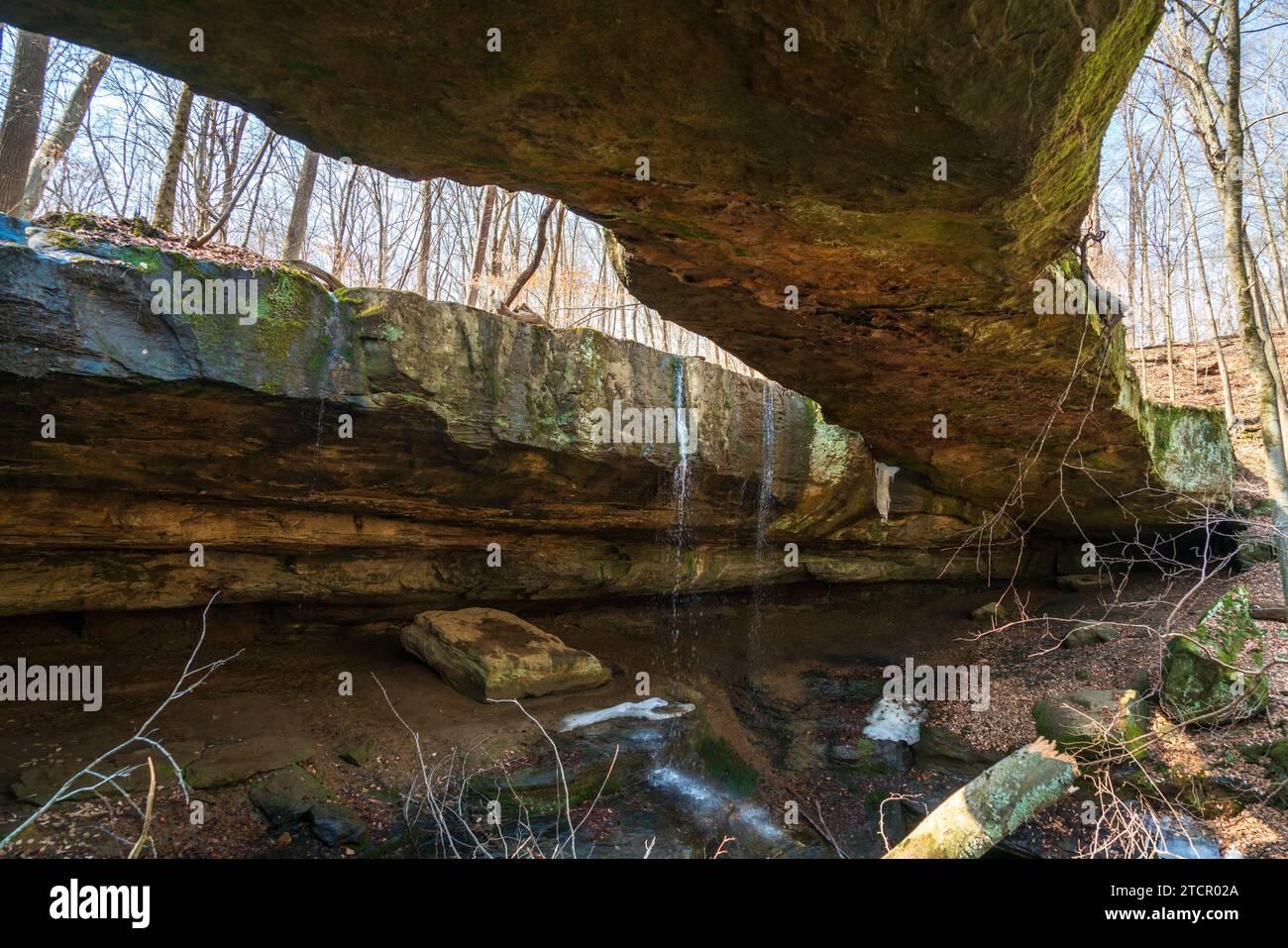 The Rockbridge State nature Preserve dans le comté de Hocking, Ohio, États-Unis Banque D'Images