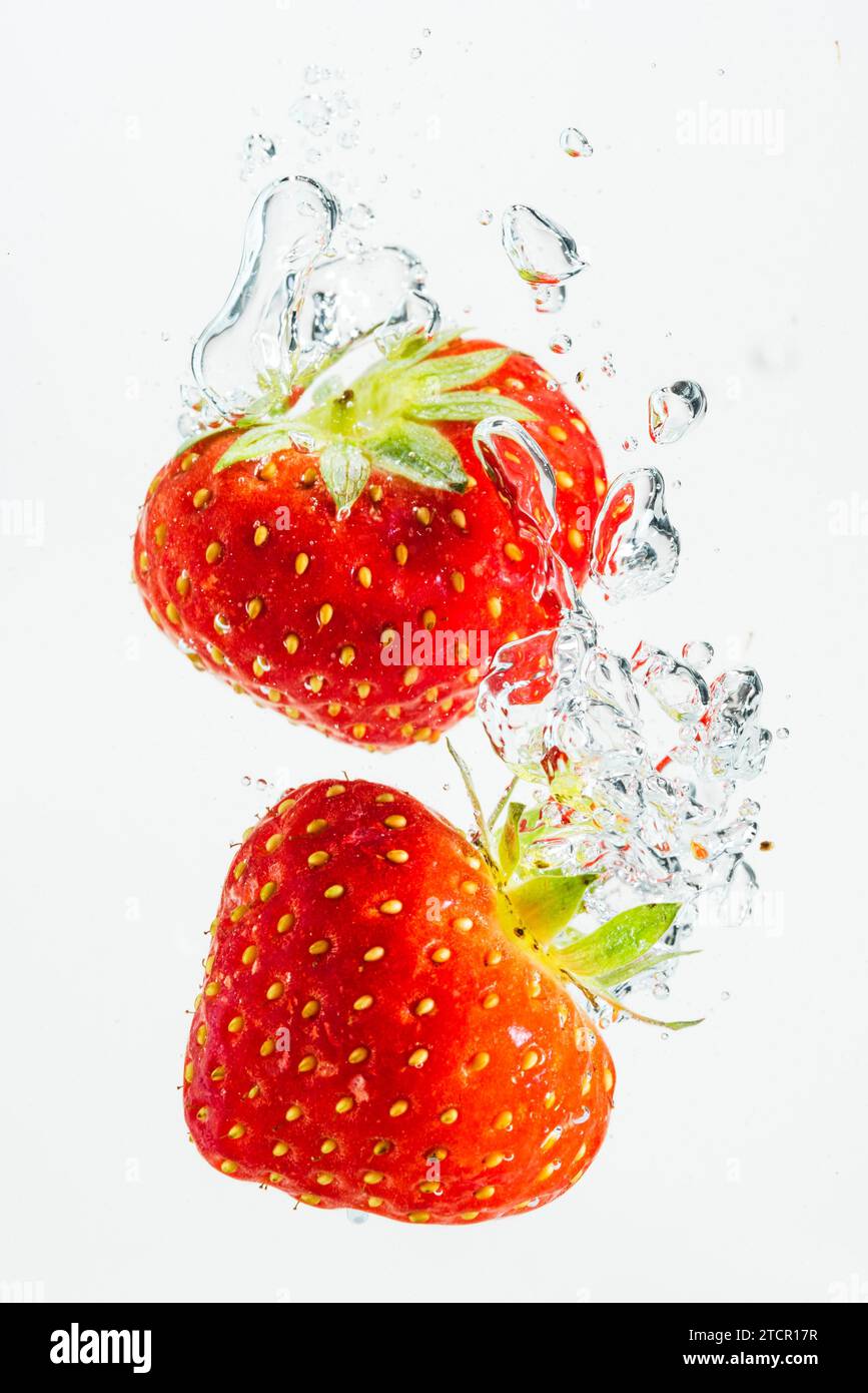 Strawberry tombe profondément sous l'eau avec un grand bruit. Naufrage de fruits dans l'eau claire sur fond blanc. Concept antioxydant Banque D'Images