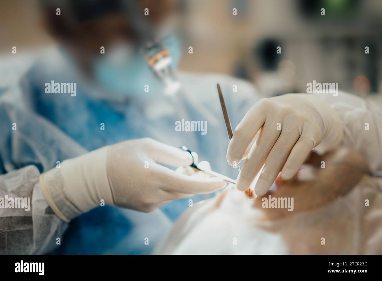 Le travail d'un chirurgien au bloc opératoire, un instrument chirurgical à la main Banque D'Images