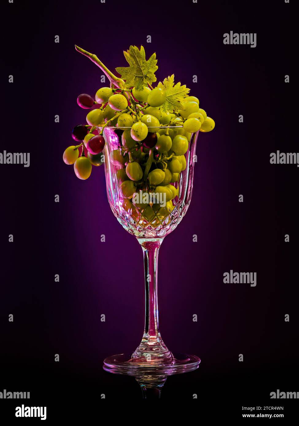 Un verre à vin rempli de raisins verts se dresse sur un fond violet et crée une nature morte élégante Banque D'Images