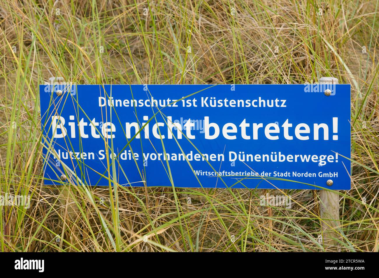 Signez à la dune, Bitte nicht betrett ! Banque D'Images