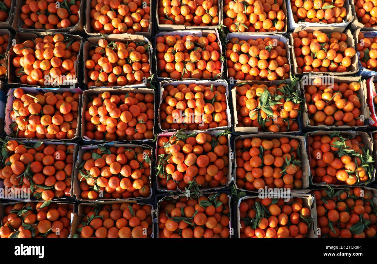 SANAA, Sanaa, Yémen. 14 décembre 2023. Oranges pour la vente sur un marché de fruits à Sanaa, Yémen.la production agricole d'oranges a connu une baisse ces dernières années en raison d'une combinaison de facteurs, tels que les conditions économiques et l'escalade continue du conflit entre le gouvernement internationalement reconnu et la communauté houthi. les données de recensement agricole les plus récentes au Yémen montrent que la production d'orange du pays a atteint environ 119 mille tonnes, la majorité provenant du gouvernorat de Ma'Rib. Ma'Rib représente la moitié de l'agriculture fruitière orange du pays Banque D'Images