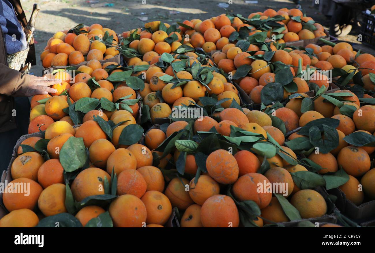 SANAA, Sanaa, Yémen. 14 décembre 2023. Oranges pour la vente sur un marché de fruits à Sanaa, Yémen.la production agricole d'oranges a connu une baisse ces dernières années en raison d'une combinaison de facteurs, tels que les conditions économiques et l'escalade continue du conflit entre le gouvernement internationalement reconnu et la communauté houthi. les données de recensement agricole les plus récentes au Yémen montrent que la production d'orange du pays a atteint environ 119 mille tonnes, la majorité provenant du gouvernorat de Ma'Rib. Ma'Rib représente la moitié de l'agriculture fruitière orange du pays Banque D'Images