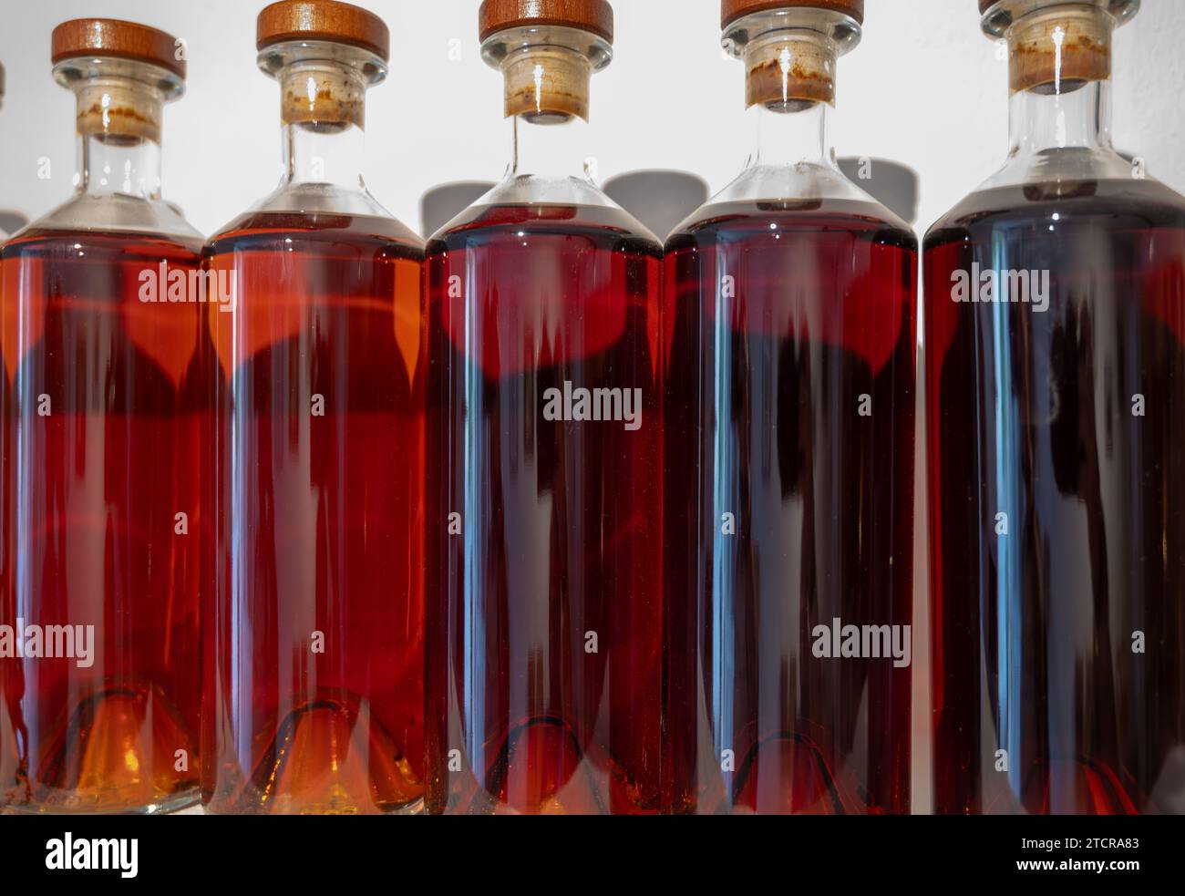 Différentes couleurs et âges de spiritueux de cognac en bouteilles en distillerie, région de vin blanc de Cognac, Charente, visite de l'ancienne maison de distillation de spiritueux, Banque D'Images