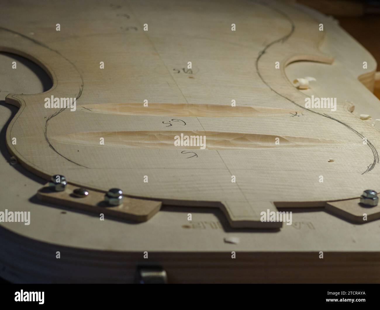 Artisan luthier fabricant d'instruments à cordes sculpte une plaque arrière de violoncelle en bois d'épicéa avec gouge à Crémone Italie Banque D'Images