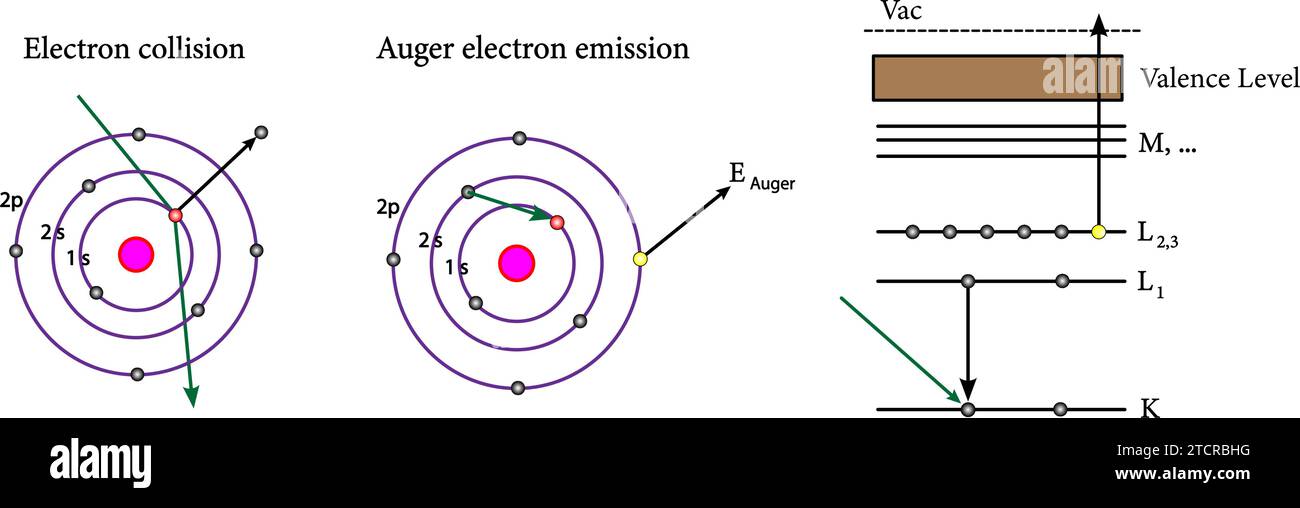 Illustration du processus de vis sans fin.Illustration vectorielle. Illustration de Vecteur