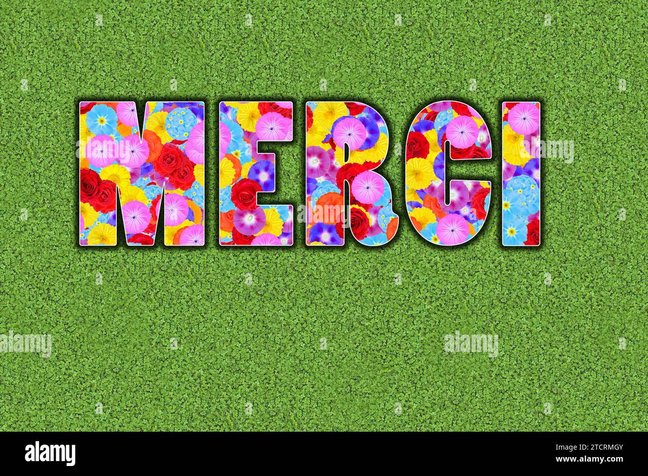 Merci, Français pour merci, écrit avec des fleurs colorées sur fond vert, graphique Banque D'Images