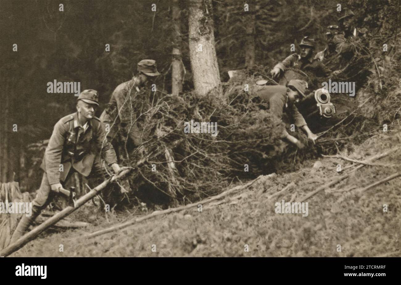 Les troupes allemandes sont capturées en utilisant de petits arbres et des buissons comme camouflage pour dissimuler un canon de montagne mortel. Cette technique illustre l'importance de mélanger l'équipement militaire à l'environnement naturel, une tactique clé en guerre. Banque D'Images