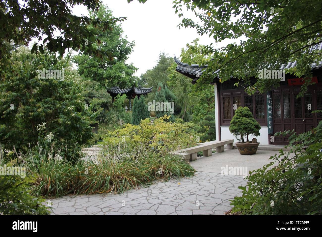 Jardin de Chine à Luisenpark, Mannheim, Allemagne Banque D'Images