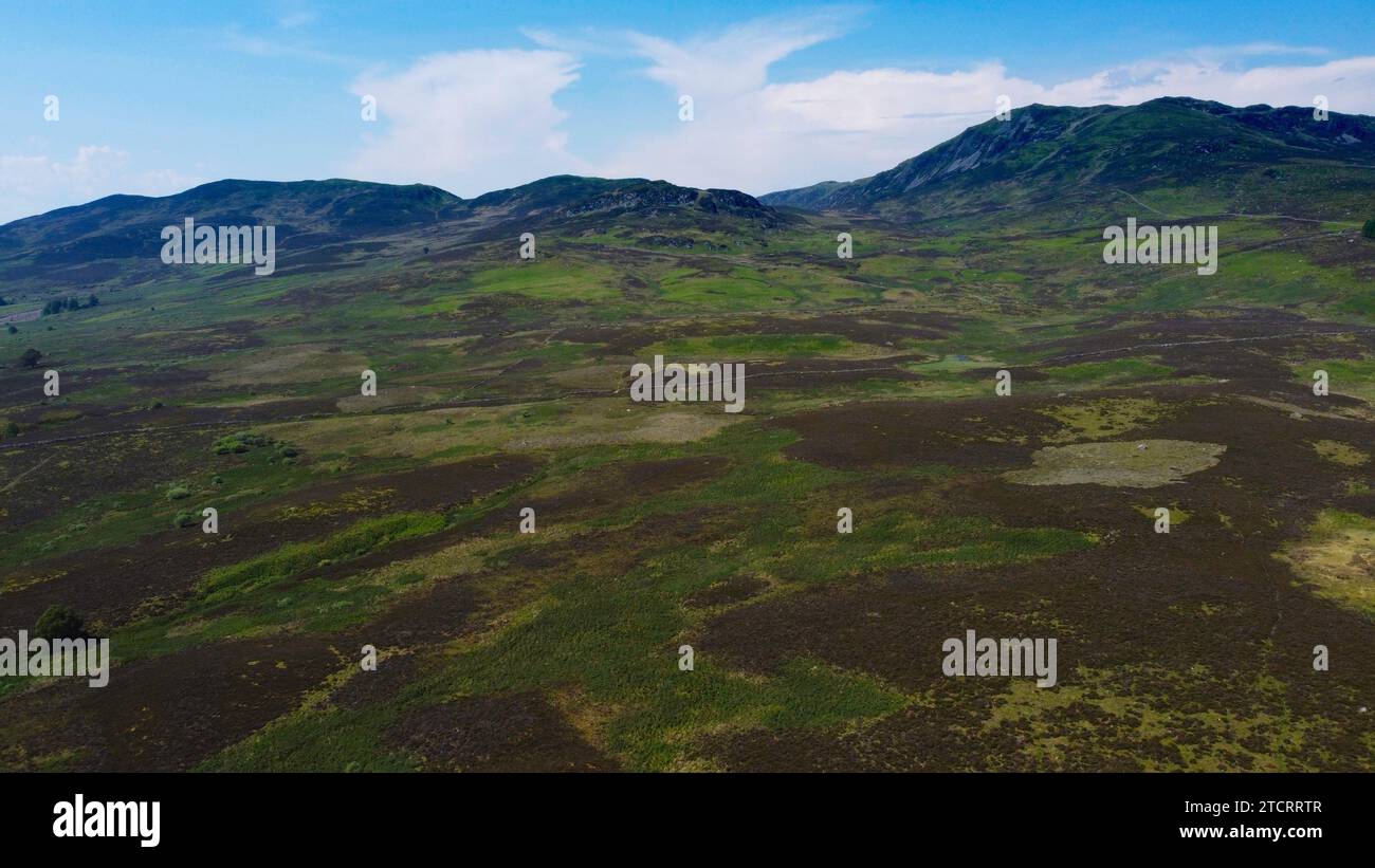 Grouse Moor au sud de Ben y Vrackie près de Pitlochry dans le parc national de Cairngorms dans les Highlands écossais d'Écosse, Royaume-Uni - photo : Geopix Banque D'Images