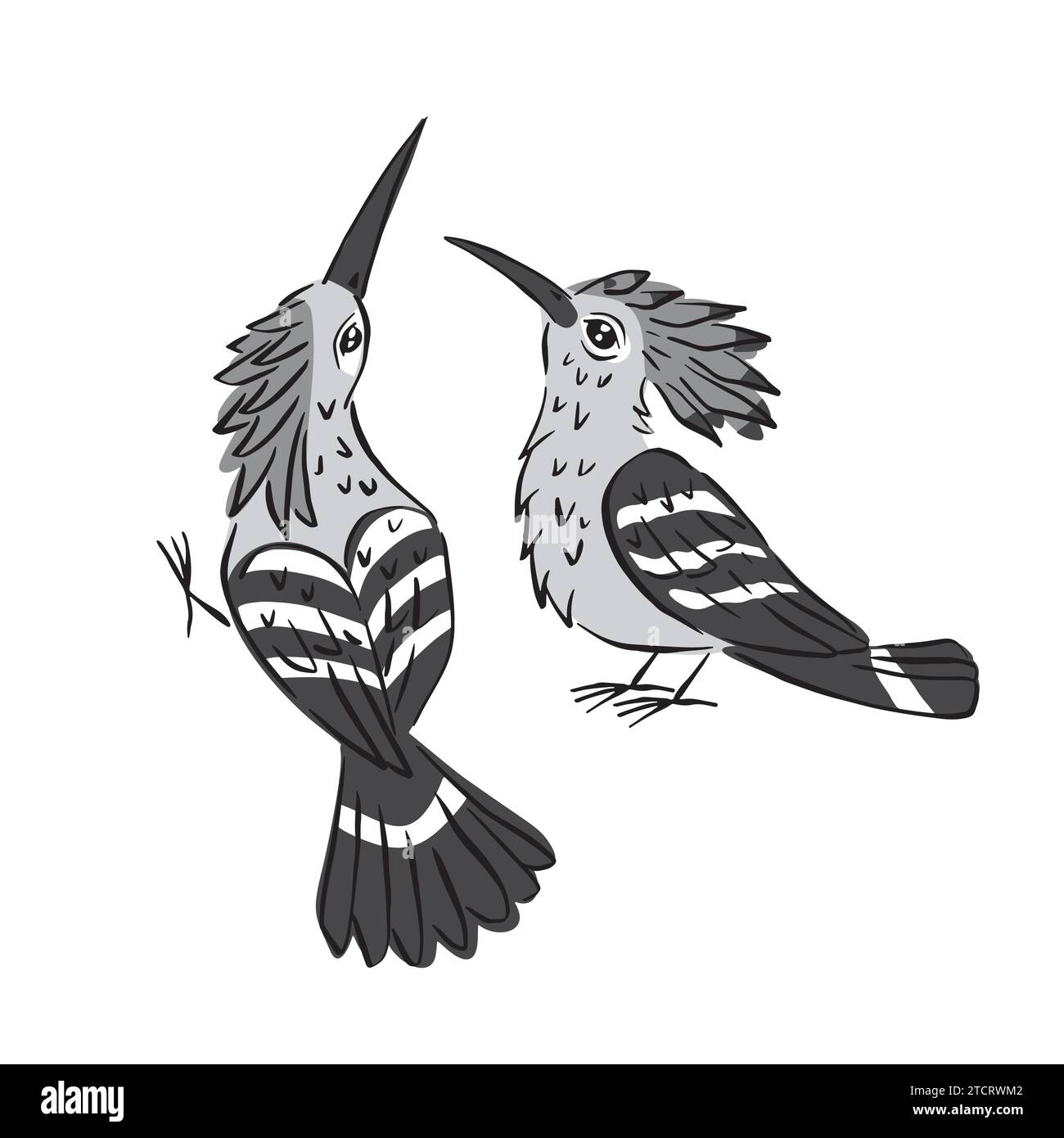 Illustration colorée au trait d'art d'oiseaux hoopoe mignons Illustration de Vecteur