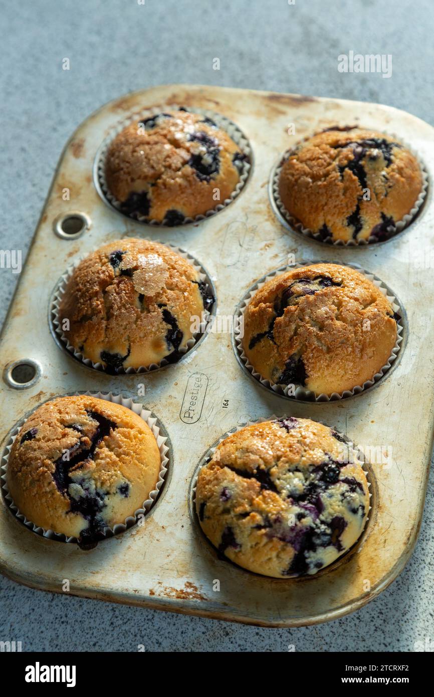 Des muffins aux bleuets Banque D'Images