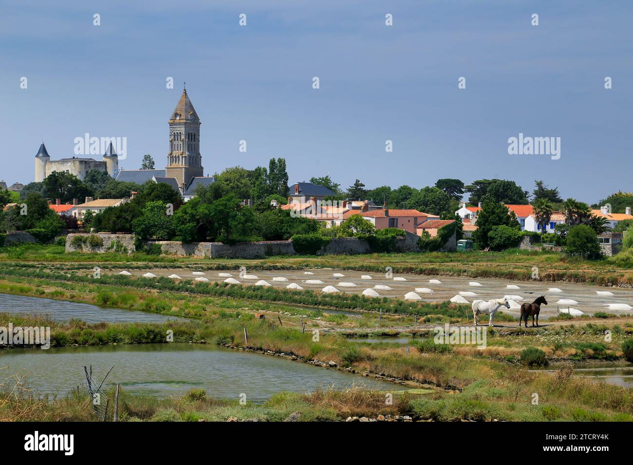 Ville & Cathédrale de Noirmoutier, Vendée, France. Banque D'Images