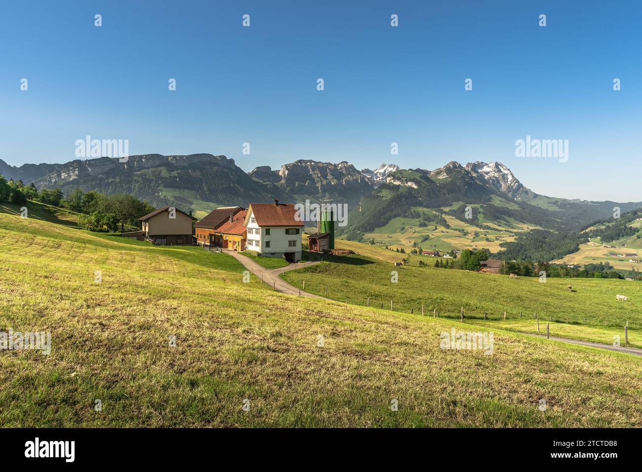 Ferme solitaire dans les Alpes Appenzell, pâturage des vaches sur un pré vert, vue sur les montagnes Alpstein avec Saentis, canton d'Appenzell Innerrhoden, Banque D'Images