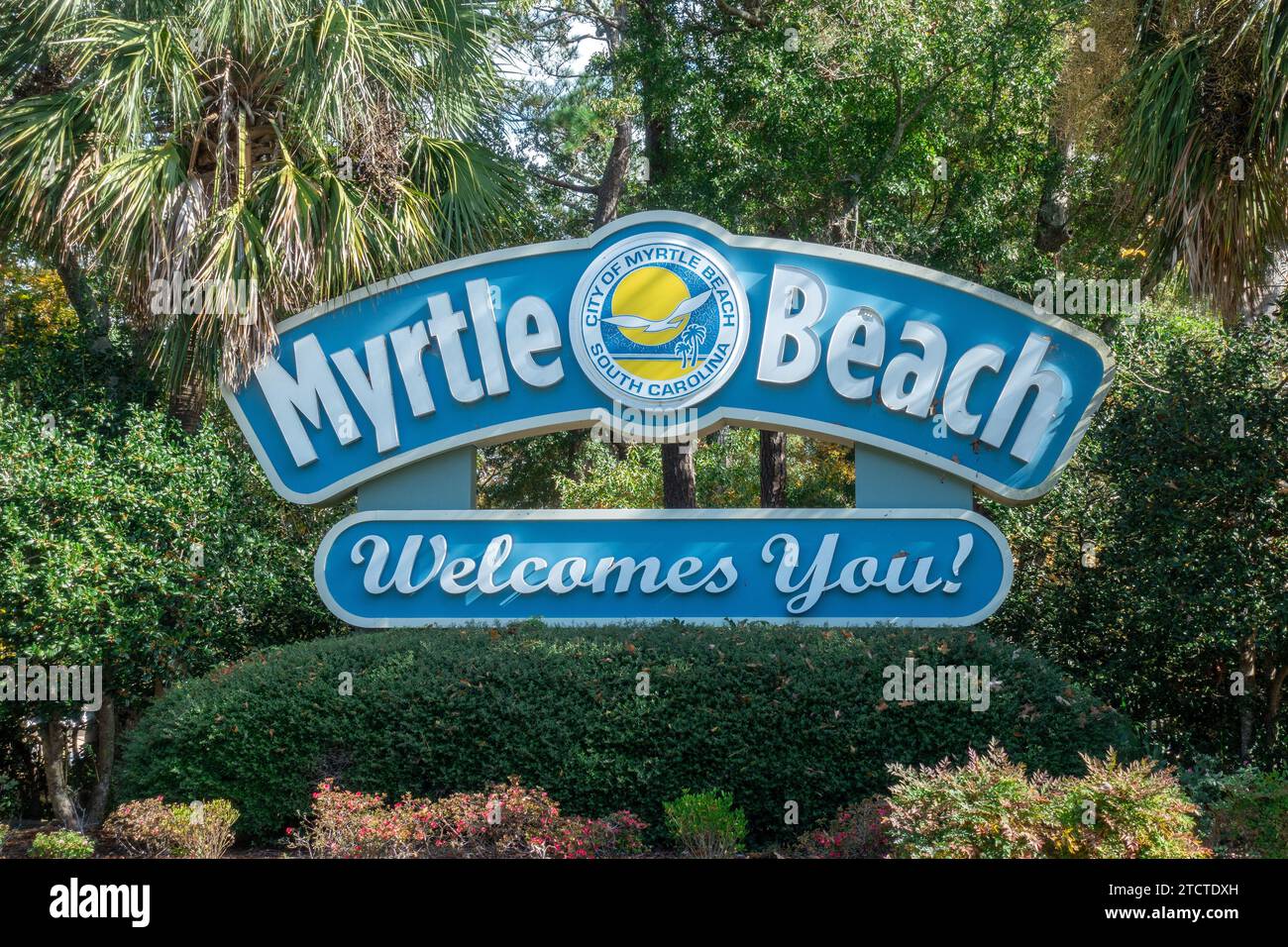 Toppa Carolina Del Sud Toppa Ricamata Bandiera Carolina Del Sud - Applique Da Stirare, Souvenir Ufficiale SC Wood Badge Scout - Foto 7