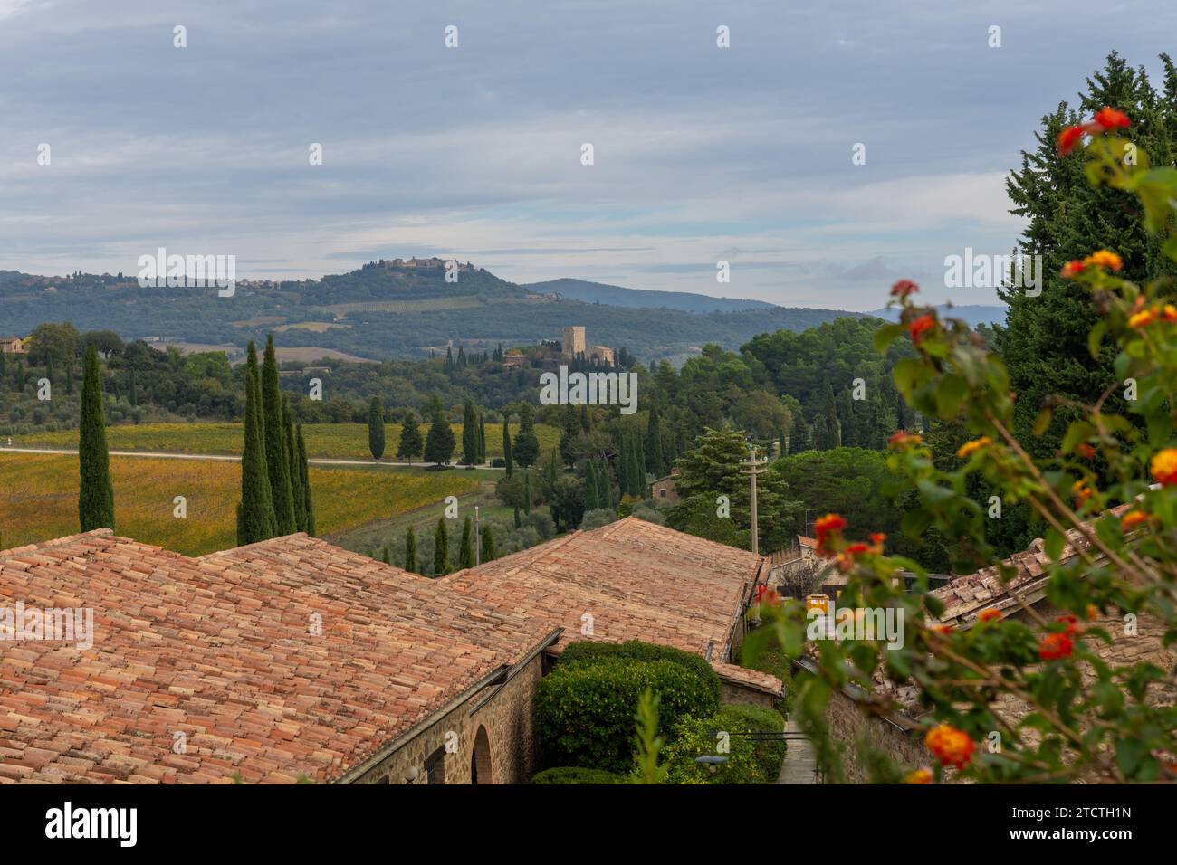 Montalcino, Italie - 16 novembre 2023 : vue depuis la station viticole de Banfi sur les collines de la Toscane avec vue sur le château et les villages perchés Banque D'Images