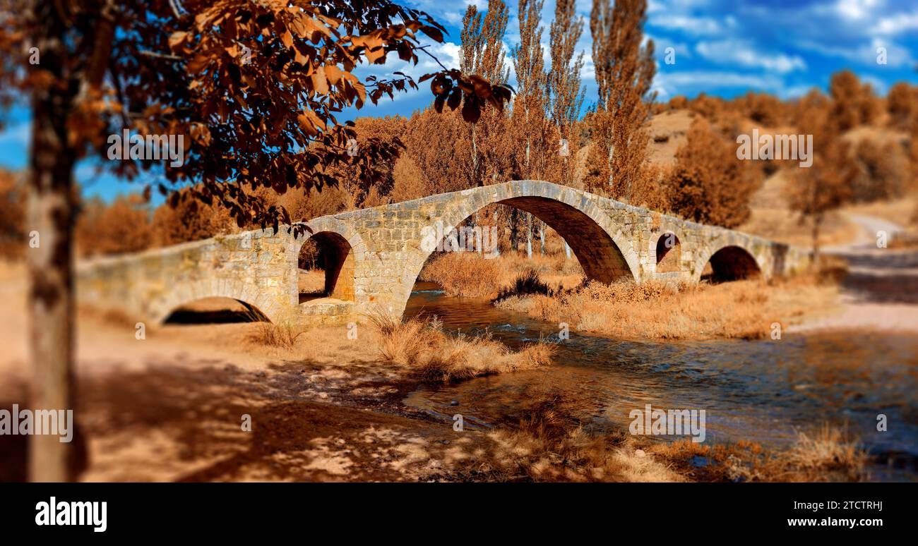 Beau vieux pont en pierre dans la forêt d'automne au coucher du soleil. Architecture ottomane près de la ville de Teruel, Aragon, Espagne. Banque D'Images