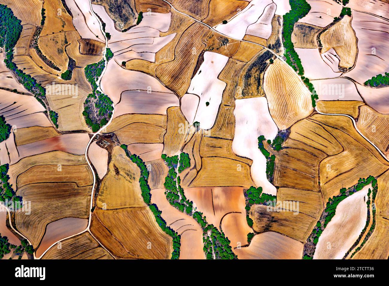 photographie aérienne blé et agricole. Banque D'Images