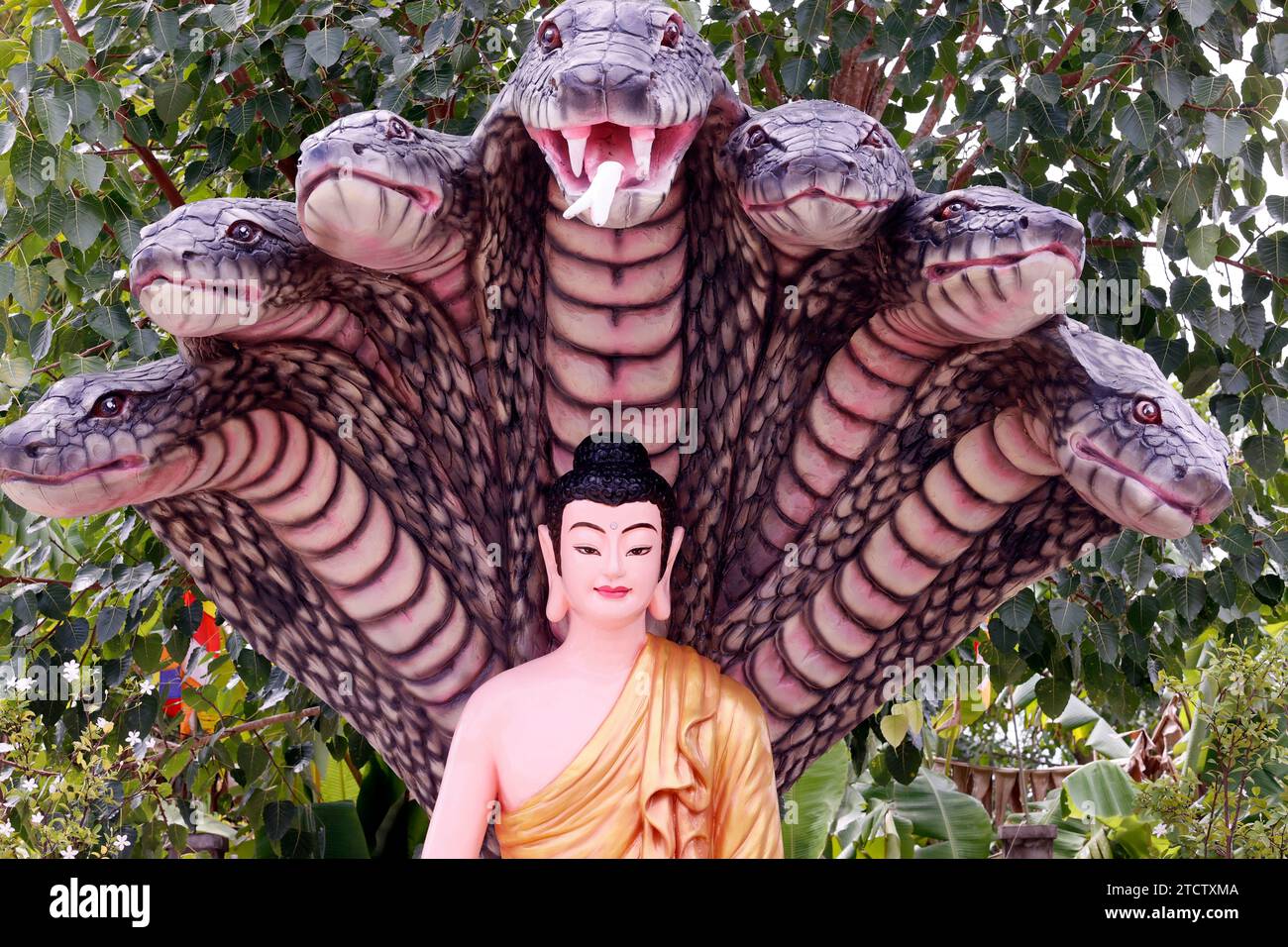 Pagode bouddhiste Phuoc Hue. Bouddha assis sous sept têtes naga. Statue. Vietnam. Banque D'Images Pagode bouddhiste Phuoc Hue. Bouddha assis sous sept têtes naga. Statue. Vietnam. Banque D'Images