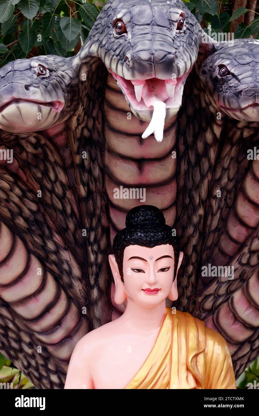 Pagode bouddhiste Phuoc Hue. Bouddha assis sous sept têtes naga. Statue. Vietnam. Banque D'Images Pagode bouddhiste Phuoc Hue. Bouddha assis sous sept têtes naga. Statue. Vietnam. Banque D'Images