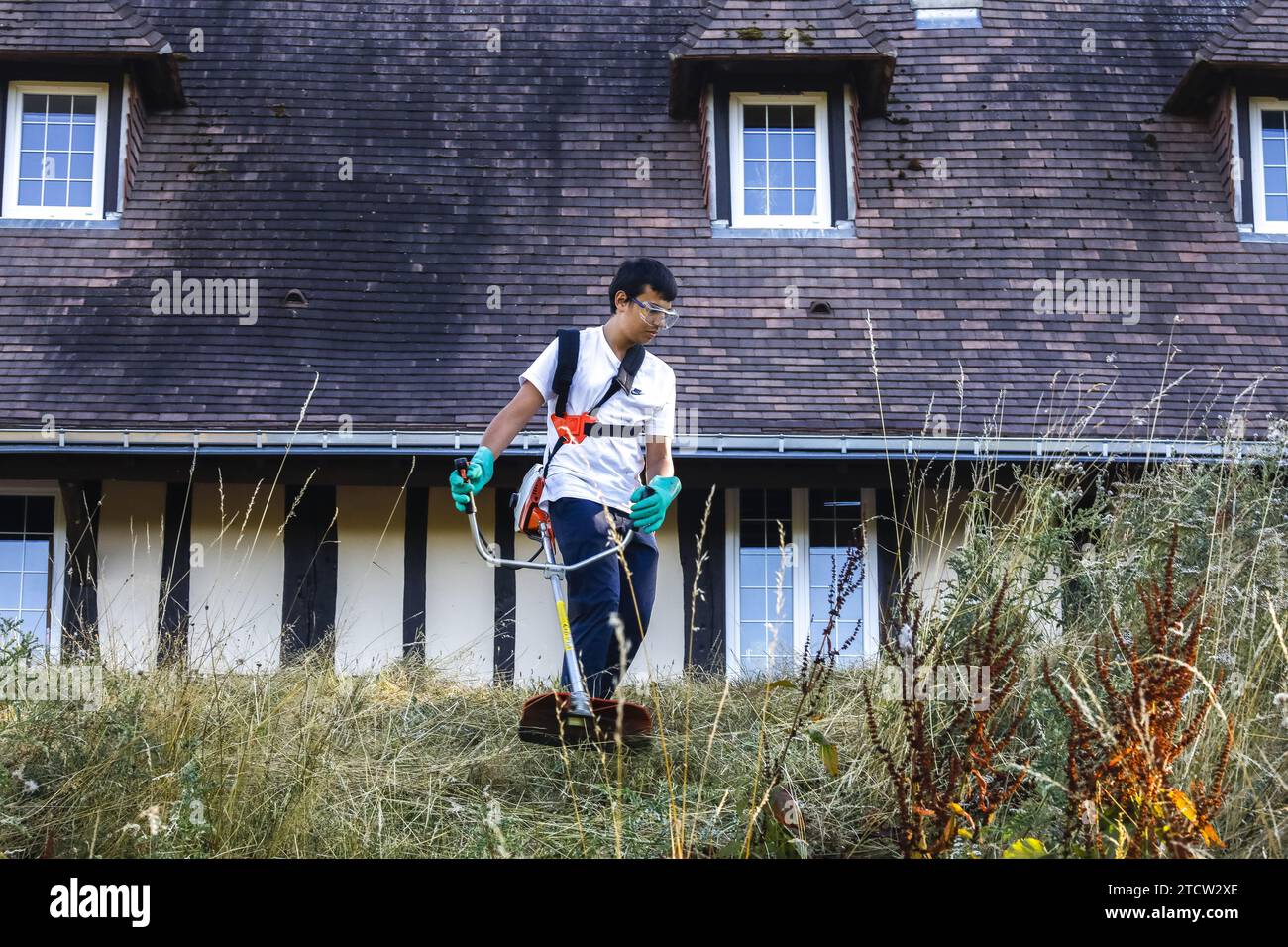 Jeune homme coupant l'herbe au Mesnil en Ouche, Eure, France Banque D'Images