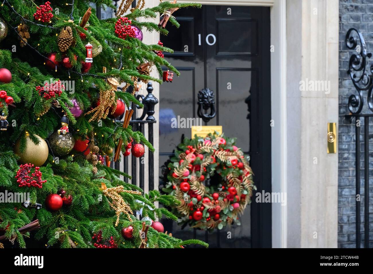 Londres, Royaume-Uni. Arbre de Noël et couronne de Noël à la porte du 10 Downing Street, décembre 2023 (arbre en vedette) Banque D'Images
