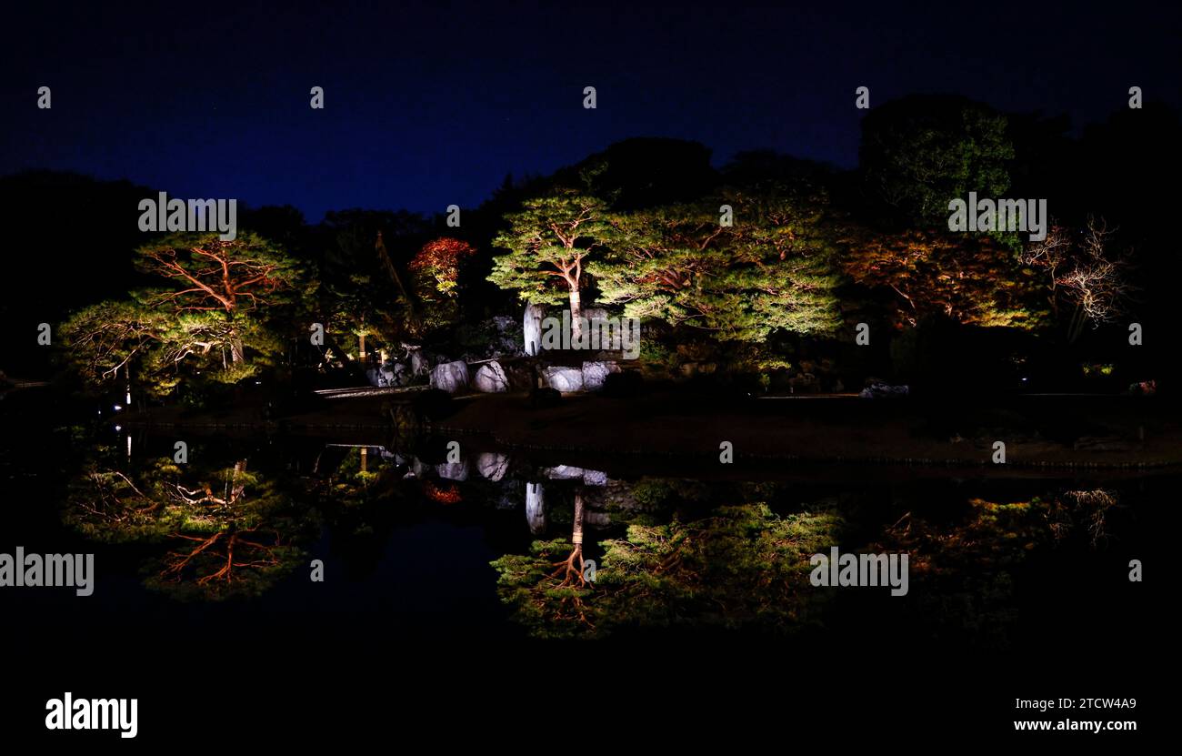 LES FEUILLES D'AUTOMNE DU JARDIN RIKUGIEN S'ILLUMINENT À TOKYO Banque D'Images